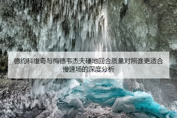 德约科维奇与梅德韦杰夫硬地回合质量对照谁更适合慢速场的深度分析