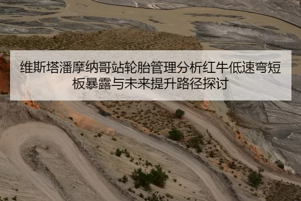 维斯塔潘摩纳哥站轮胎管理分析红牛低速弯短板暴露与未来提升路径探讨